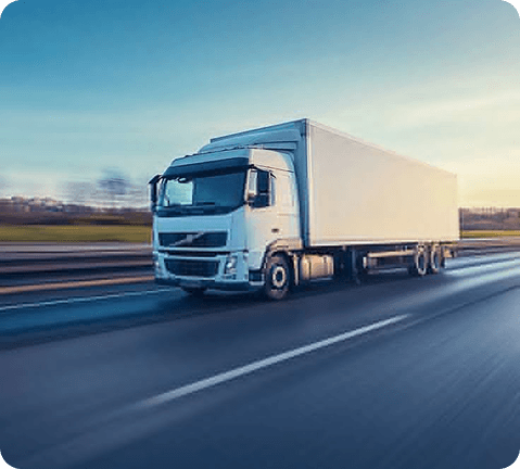 Lorem ipsum dolor sit amet consectetur. Eu lobortis quis eu tortor aliquam eu hendrerit non. Magna tincidunt condimentum vivamus lacinia