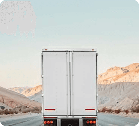 Lorem ipsum dolor sit amet consectetur. Eu lobortis quis eu tortor aliquam eu hendrerit non. Magna tincidunt condimentum vivamus lacinia